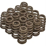 PAC-1218 LS1 Hp Ovate Beehive Valve Spring, 1.290 Od, SET/16 New. Price: $225.60.