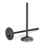 Supertech VWIVN-1002T-10 Black Nitrided Intake Valves Set Of New. Price: $267.37.