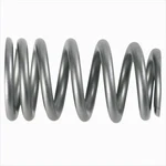 Ford Racing M-6513-1219X Pac Beehive Valve Spring 16PC Set New. Price: $328.97.