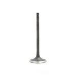 Engine Intake Valve-dohc, Code: 3RZFE, 16 Valves Dnj IV939 New. Price: $16.40.