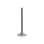Engine Intake Valve-dohc, Code: EZ36D, 24 Valves Dnj IV729 New. Price: $19.54.