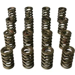 Howards Valve Spring Set 98443; Max Effort 145 Lbs 1.880 In., Dual, 1.440 Od New. Price: $134.11.