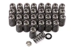 Gsc P-d Fits Ford Mustang 5.0L Coyote Gen 3 Conical Valve Spring And Ti Retainer New. Price: $915.99.