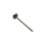 Reliance Power Products S180036A Intake Valve New. Price: $38.60.