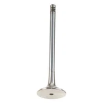 For Bmw X5 2000-2003 W0133-2076618-TRW Exhaust Valve New. Price: $33.55.