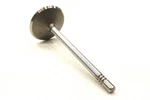 New Oem Ford Engine Intake Valve 2L2Z-6507-AA Explorer Mountaineer 4.0 1997-2011. Price: $14.65.