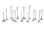 Ferrea For Chevrolet LT1 Gen 1.6IN 0.313IN 5.2IN 24 Deg S-flo Rad Grv Super New. Price: $411.00.