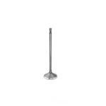 Engine Intake Valve-dohc, Code: N54B30A, Turbo, 24 Valves Dnj IV856 New. Price: $28.81.