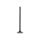 Engine Exhaust Valve-vin: B, Sohc, 16 Valves Dnj EV1170 New. Price: $19.33.