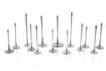 Ferrea F1550P Fits Bmw M50 32.95MM 5.97MM 106.1MM 12 Deg S-flo Stk Int Valve New. Price: $395.39.