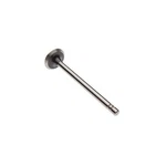 Reliance Power Products S190336E Exhaust Valve New. Price: $32.84.