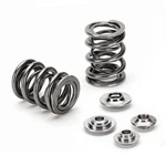 Supertech Dual Valve Spring Kit Fits Honda H22A Vtec SPRK-H1000D New. Price: $511.86.