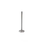 Engine Intake Valve-vin: X, Dohc, Turbo, Ecoboost, 16 Valves Dnj IV4312 New. Price: $14.16.