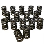 Howards Cams 98844: Pacaloy Dual 1.570 Valve Spring Set New. Price: $571.99.