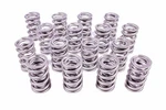 Racing Springs 1.574 Dual Valve (16)- PAC-1396-16 New. Price: $649.47.