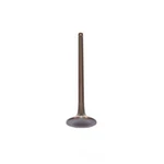 Engine Exhaust Valve-dohc, Code: 6VE1, 24 Valves Dnj EV353A New. Price: $18.55.