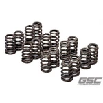 Gsc Power 5040 4G63T Single Beehive Spring Set For Evo 8/9 New. Price: $409.85.