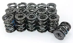 Manley 221449-16 Valve Spring, SPRING-1.677 Triple New. Price: $922.52.
