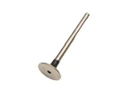 Beck/arnley 021-3282, 0213282 Exhaust Valve Nos New. Price: $10.99.