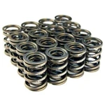 Blox Racing Dual Valve Springs Fits H22A (2.2L Dohc Vtec) New. Price: $200.56.