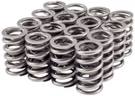 Melling Performance 46636-16 High Valve Spring New. Price: $119.47.