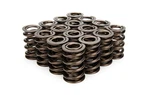 Manley 221444-16 Valve Spring, SPRING-1.610 Double New. Price: $580.57.