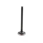 Engine Exhaust Valve-sohc, Code: L20B, Valves Dnj EV608B New. Price: $18.70.