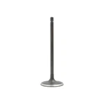 Dnj IV954 Intake Valve Fits 2005-2022 Toyota Tacoma 10-10 4RUNNER New. Price: $30.99.