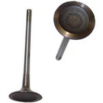 IV802 Dnj Intake Valve For Vw Audi A5 Quattro A4 Q5 A6 S6 A8 Volkswagen Eos New. Price: $25.24.