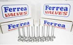 Ferrea 6000 Series Std Size Valves For 2008-15 Mitsubishi Lancer Evo X 4B11T New. Price: $335.00.