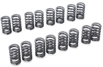 Tomei Swocn-v Valve Spring Set For Subaru Wrx Sti EJ205 EJ255 EJ257 New. Price: $189.88.