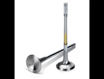 Supertech MCEVI-1200-HS-8 Inconel Exhaust Valve For Mini 1.6 Lt R56 N18 New. Price: $462.86.