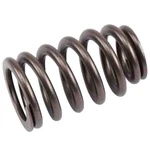 12592506 Ac Delco Valve Spring For Chevy Chevrolet Colorado Gmc Canyon Hummer H3 New. Price: $20.21.