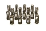 Racing Springs 1.061 Valve Ovate Beehive (16)- PAC-1214-16 New. Price: $261.45.