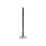 Engine Intake Valve-sohc, Valves Dnj IV121 New. Price: $14.31.