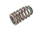 Genuine Gm Parts 12728733 Engine Valve Spring New. Price: $25.99.