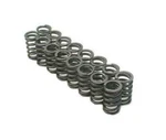 Brian Crower Single Valve Springs Kit For Honda Acura D16Y8 D16Z6 Sohc BC1070 New. Price: $96.00.