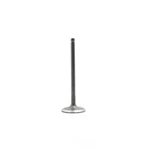 Engine Intake Valve-dohc, Turbo, Gamma, 16 Valves Dnj IV190 New. Price: $19.49.