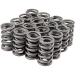 Melling 46659-16 High Performance Valve Spring New. Price: $170.99.