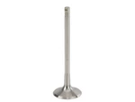 Trw 22QQ34J Intake Valve Fits 2005-2016 Audi A4 Quattro New. Price: $26.44.