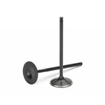 Supertech Intake Valve For Audi/volkswagen 5V 1.8T Black Nitrided Set Of 12 New. Price: $418.08.