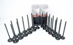 Fits 98 99 00 01 02 Honda Passport 3.2L V6 6VD1- 12 Intake & Exhaust Valves New. Price: $145.00.