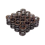 Blox Racing Dual For Honda S2000 F20C F22C 00-09 New. Price: $165.00.