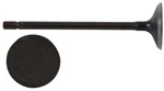 Enginetech IM4520 Intake Valve For 2014-2018 Subaru 2.0L/2.5L New. Price: $28.93.
