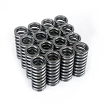 SKUNK2 Racing 311-05-1345 Alpha Series Valve Spring Set New. Price: $182.63.