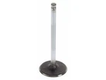 Intake Valve For 1999-2006 Chevy Silverado 1500 2000 2001 2002 2003 2004 RK549HG New. Price: $29.15.