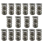 Racing Valve Spring Set PAC-1281X-16; 1200 Series 11-21 Ford 5.0L Mod New. Price: $305.47.
