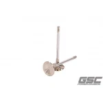 Gsc Power 2256-10 Intake Valves For Audi 2.5L Daza/dnwa Engines New. Price: $287.53.
