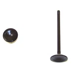 Dnj EV1137 Engine Exhaust Valve New. Price: $16.99.