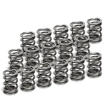 Supertech For SPR-H1005D-16 Honda H22A1/H22A4 Dual Valve Spring Set New. Price: $247.99.